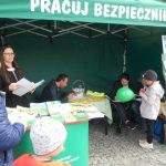 Piknik z Produktem Polskim w Lubartowie odbył się w Lubartowie