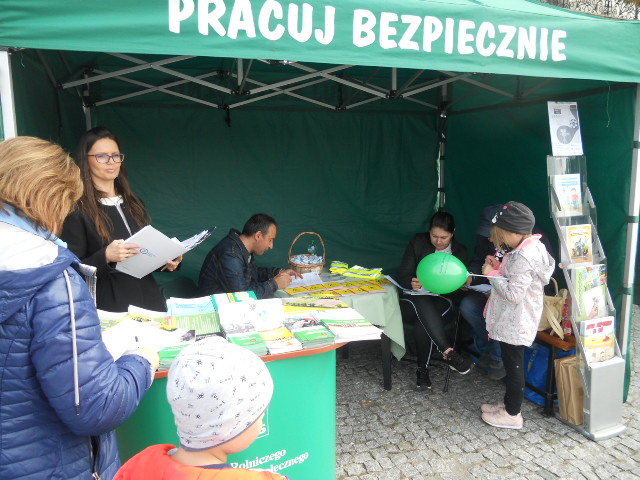 Piknik z Produktem Polskim w Lubartowie odbył się w Lubartowie